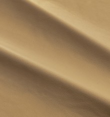 DALMATA 023