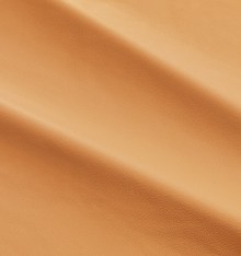 DALMATA 027