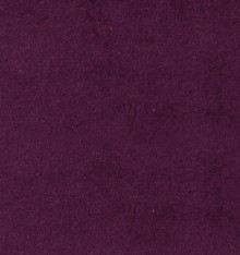 PASSION COL.11
