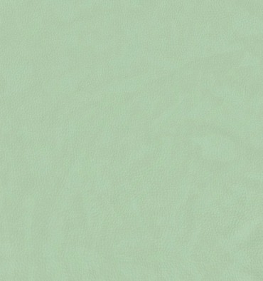 http://www.tecninovatextile.com/4408-8321-thickbox_default/nabuck-aqua-marine.jpg